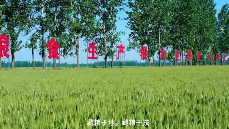 ݿιˮƽ߱׼ũｨʳ徲صԿƼνһ